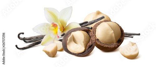 Vanilla beans and macadamia nuts isolated on white background