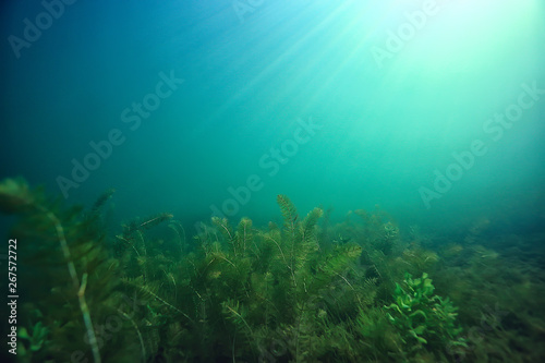 underwater green landscape / nature underwater eco ecology lake, wild diving