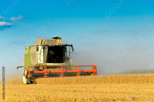 Combine harvesting in a field of golden wheat