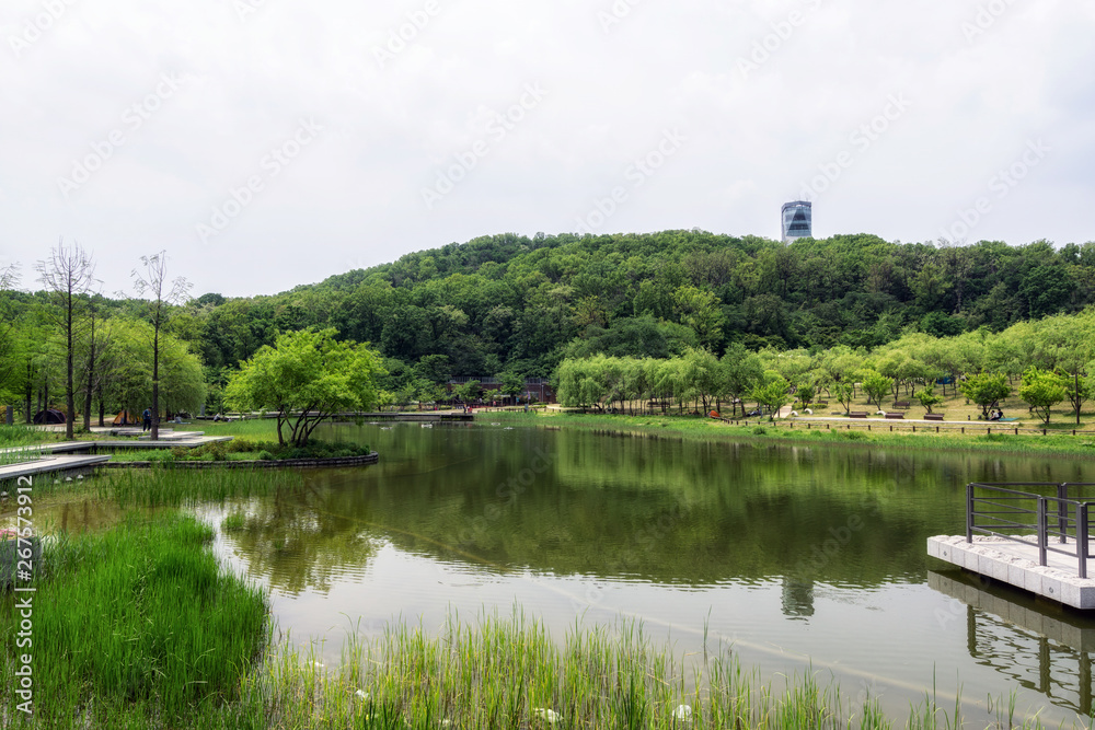 wolyeongji pond in seoul dream forest