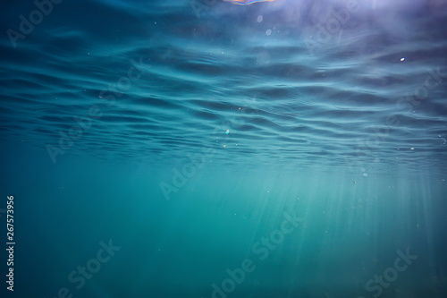 lake background water underwater abstract / fresh water diving background nature underwater ecosystem background