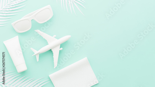 Small toy plane with sunglasses and palm leaves