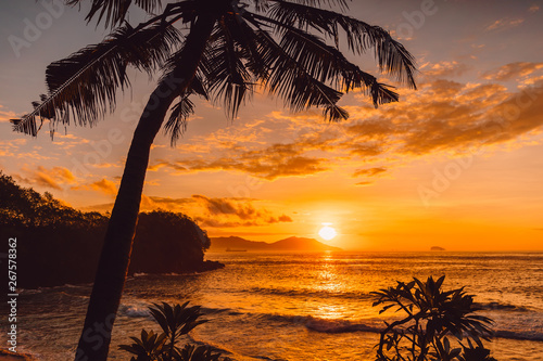 Coconut palms and sunrise at tropical beach with sea