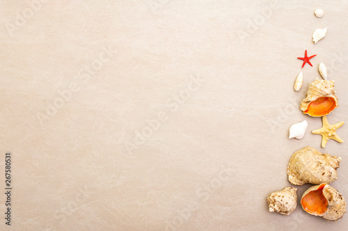 Seashells summer background. Lots of different seashells piled together, copy space, top view.