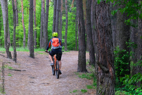 Sport and active life concept. Cyclist in protective. Cycling on bike in coniferous forest on summer day among many green trees. Healthy lifestyle.