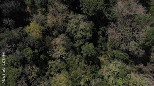 Landscape and Mediterranean forest, Cruilles, Emporda, Girona, Catalonia, Spain, Europe photo