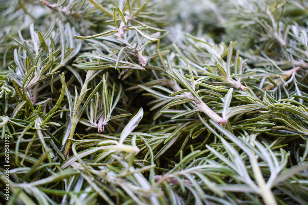 Rosemary,  natural and healthy