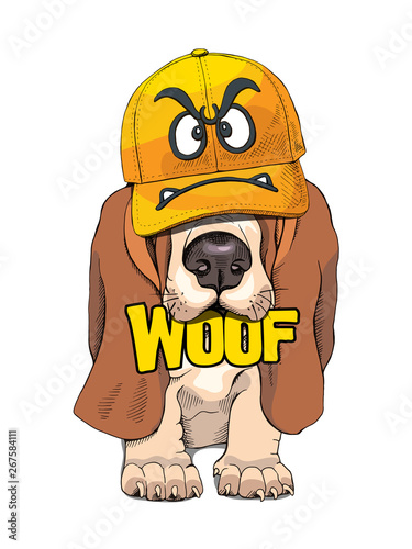 Puppy Basset Hound in a yellow cap with angry smiley. Vector illustration.