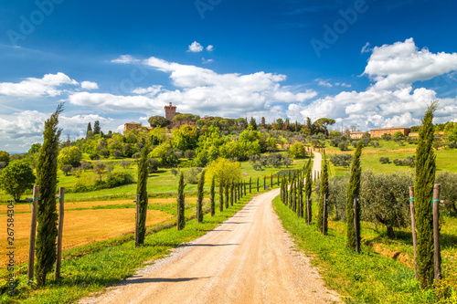 Landscape with a cypresses lined path to Palazzo Massaini  an architectural complex located on a hillside near Piezna town in Tuscany  Italy.