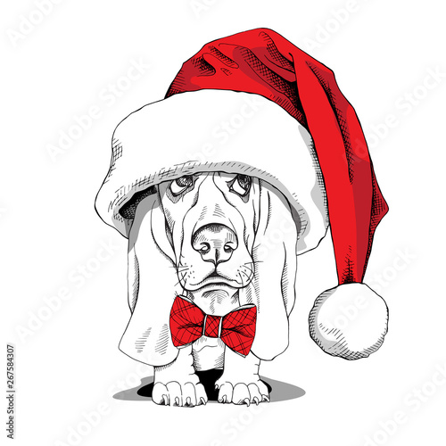 Puppy Basset Hound in a big Santa's cap and in a red checkered bow tie. Vector illustration.