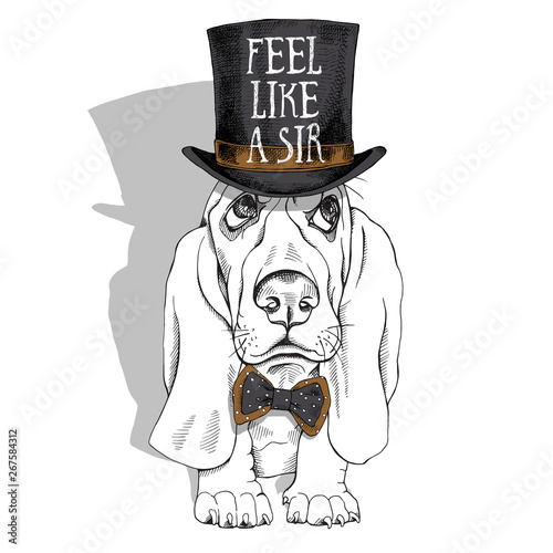 Puppy Basset Hound in a Gentleman Top hat and with bow-tie. Vector illustration.