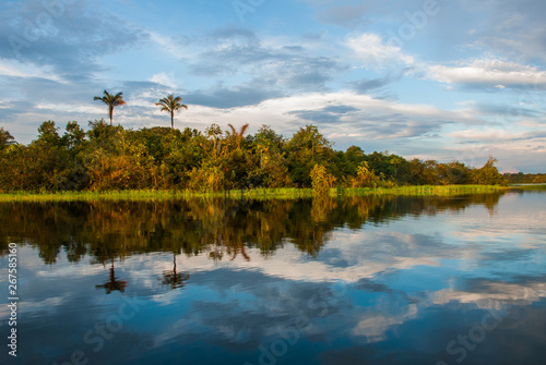 Extraordinary beautiful landscape with views of the Amazon river and the jungle. Manaus, Amazonas, Brazil