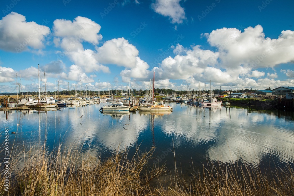 Fototapeta premium Chmury odbijające się w porcie łodzi w słoneczny letni dzień
