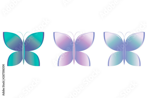 Beautiful butterfly icon set. Vector illustration. Eps10 photo