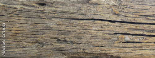Old wood pattern and texture