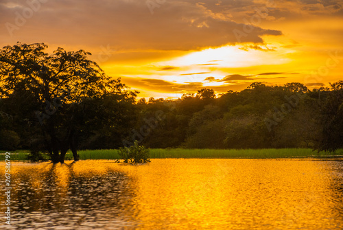 Beautiful sunset landscape overlooking the river and the Amazon jungle. Manaus, Amazonas, Brazil