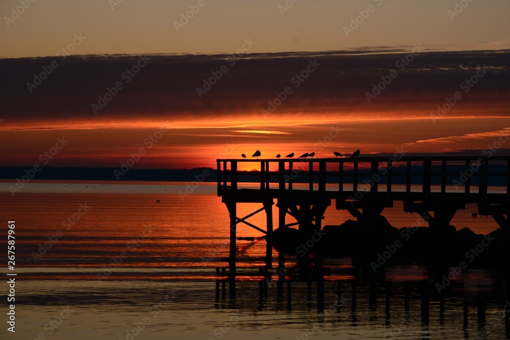 Sonnenaufgang Morgensonne Meer Ozean Strand Wasser Wellen Orange Lichtspiel Farben Vögel Seebrücke Steg Holz Möwen