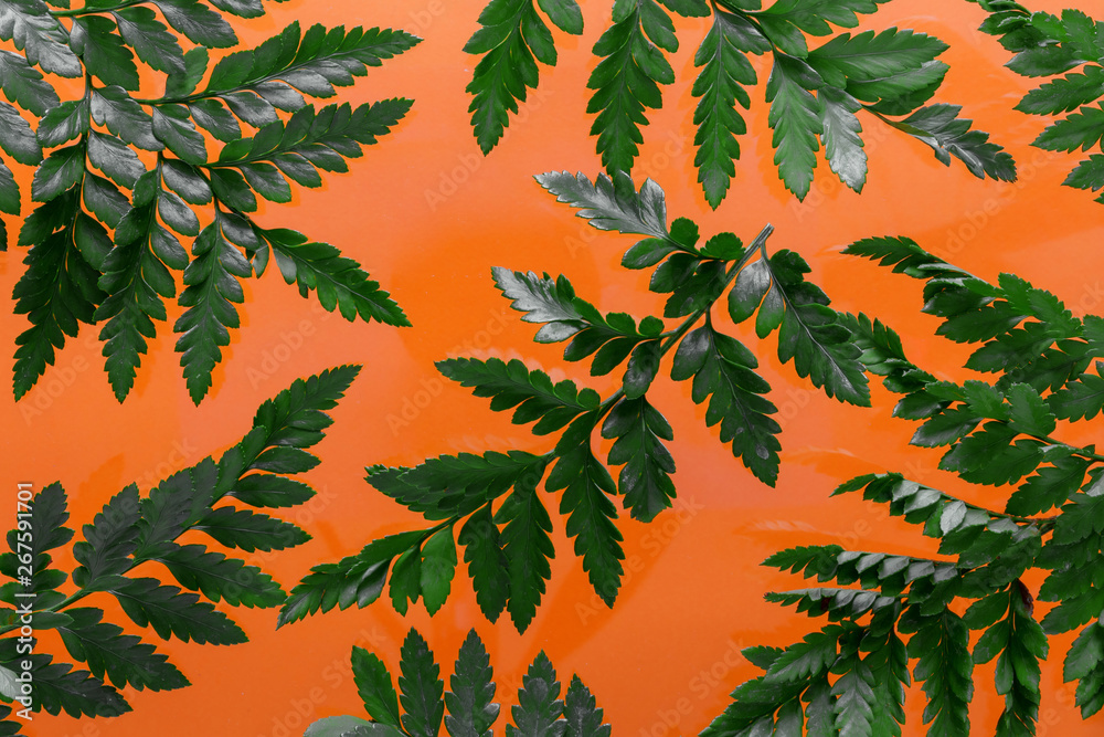 Tropical fern leaves on orange jungle background, floral summer pattern, trend flat lay top view Tropical fern leaves on orange jungle background, floral summer pattern, trend flat lay top view