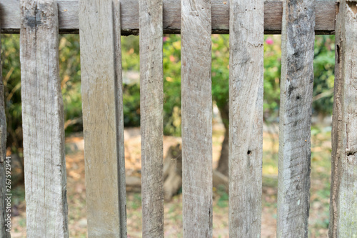 Gray wooden fence in the garden