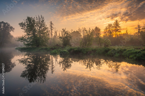 Sunrise over the Jeziorka River and the forest resembling the jungle near Piaseczno, Poland photo