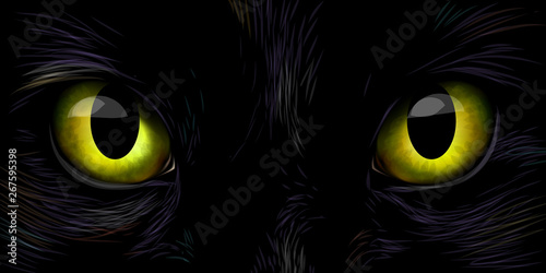 Black cat's big yellow eyes close up