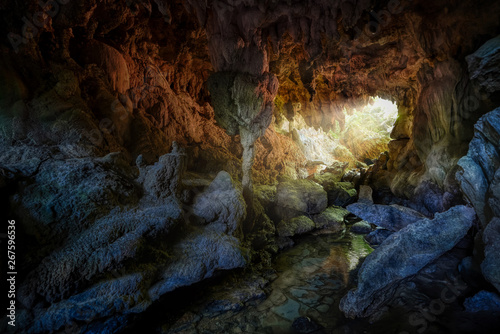 Stampa su Tela 西表島の洞窟
