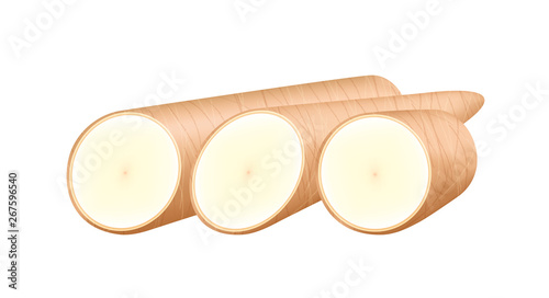 raw cassava fresh isolated on white background, cassava cut slice for tapioca flour industry or ethanol industry, pile yucca cassava tuber, raw manioc cassava in top view
