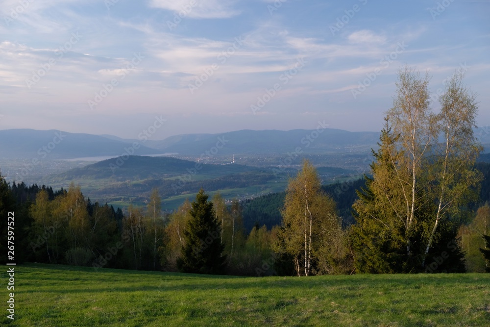 Polska, Beskid Żywiecki  - Magura, Hala Magura