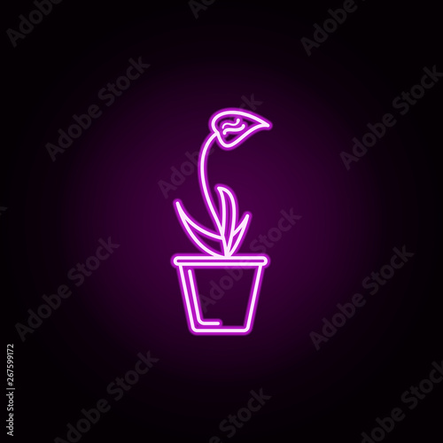 orchid in pot neon icon. Elements of flower set. Simple icon for websites, web design, mobile app, info graphics