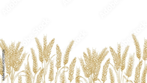 Tableau sur toile Horizontal background with wheat ears at bottom edge