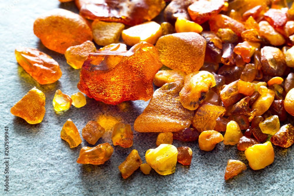 Fototapeta premium Amber from the Baltic Sea