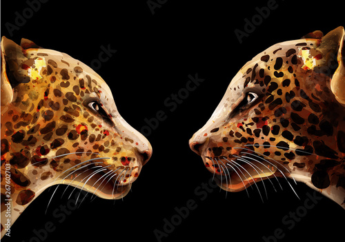 Leopard Vector watercolor. colorful detailed illustration wildlife poster