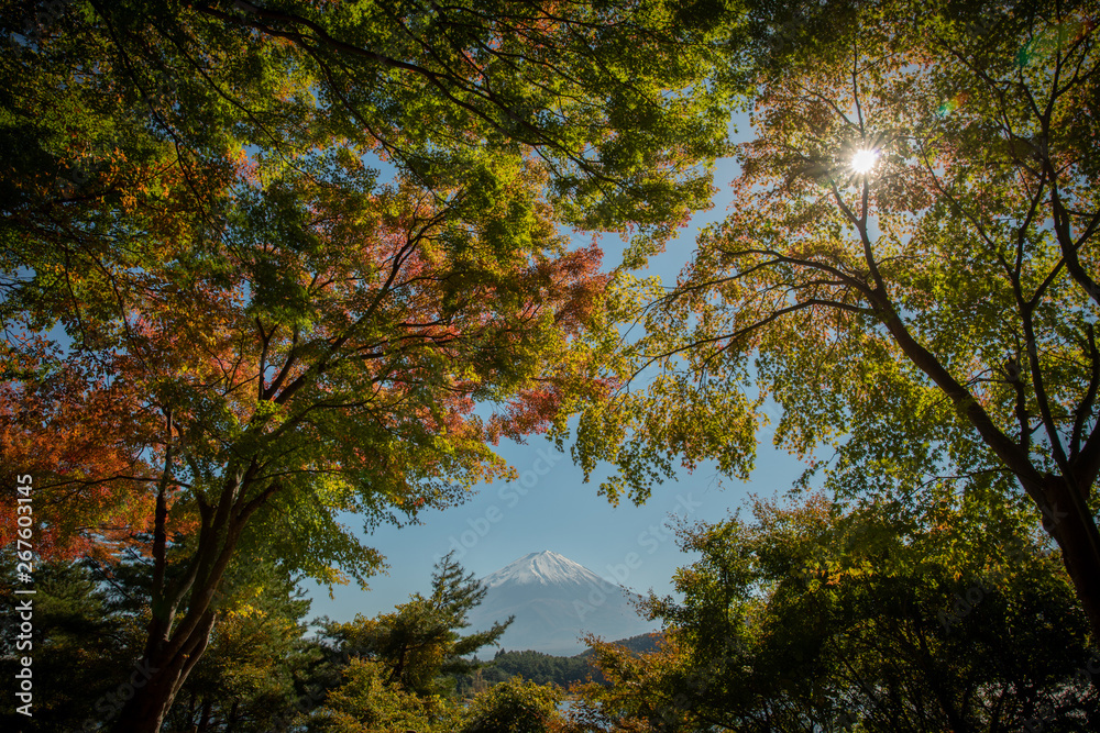 日本の象徴！富士！