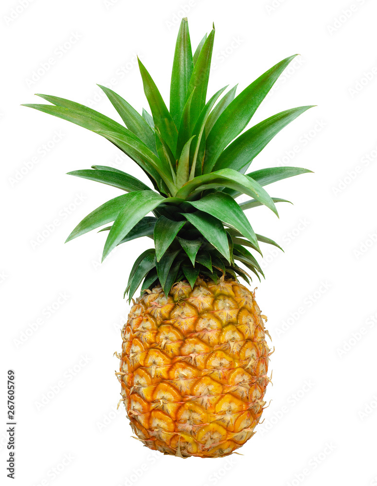 pineapple isolate on white background,Clipping Path pineapple isolate on white background,Clipping Path
