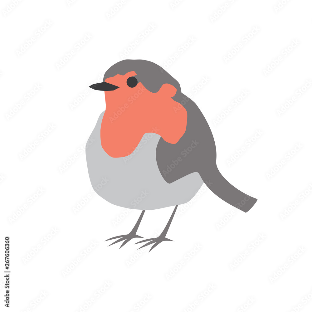 Fototapeta premium Robin bird vector portrait
