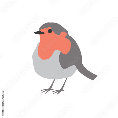Robin bird vector portrait