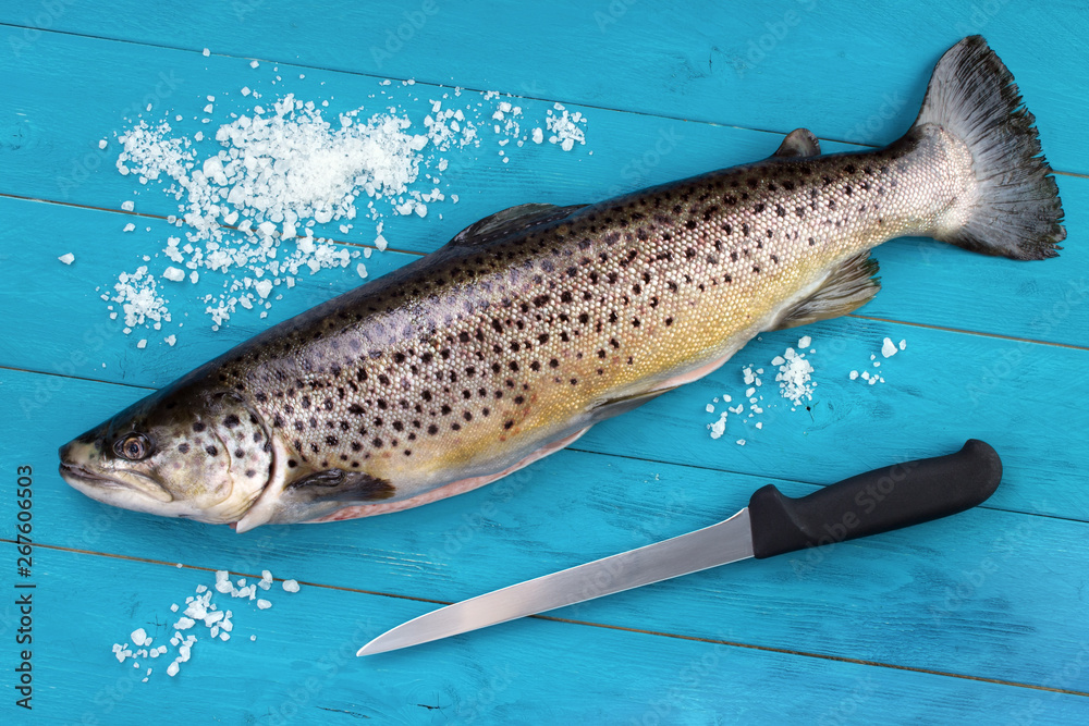 Whole trout , sea salt and fillet knife on turquoise wooden table