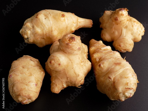 菊芋　キクイモ　Jerusalem artichoke photo