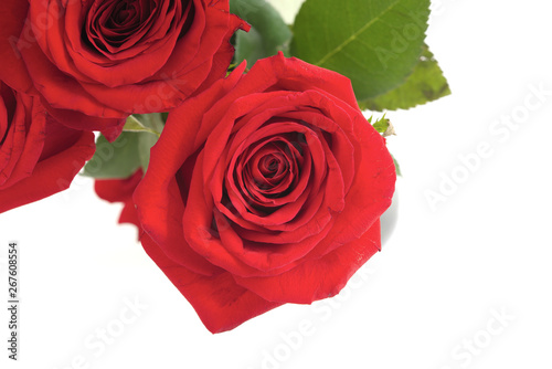 Fototapeta Naklejka Na Ścianę i Meble -  red roses on white background love card