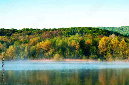 Blooming trees on a mountain lake in the open air against the background of the forest and mountains