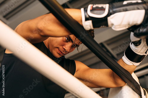 Boxer resting in ring, looking down photo