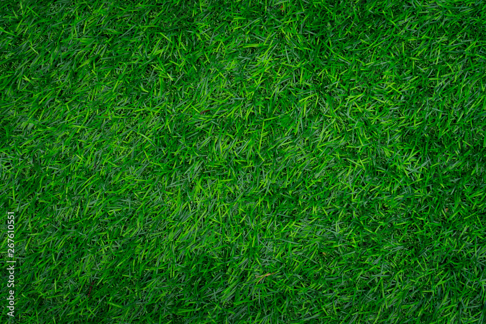 Grass texture background