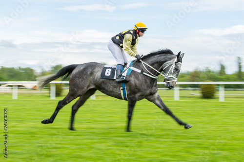 Single jockey on horse racing outdoor derby