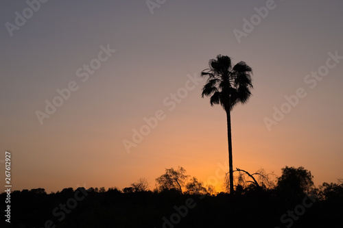 Sonnenuntergang im Paradies 