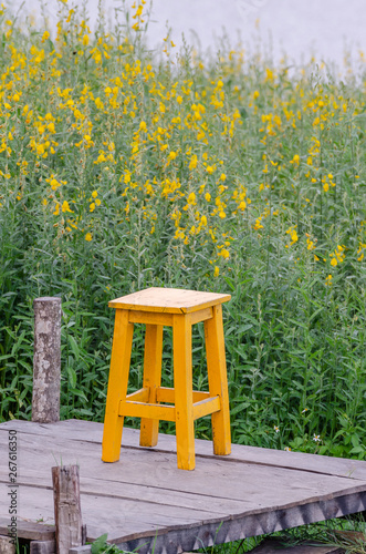 wooden chair in the garden © tikssungz