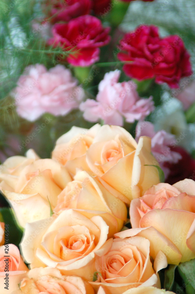 bouquet of roses bouquet of roses