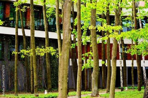 View of contemporary glass building with green trees
