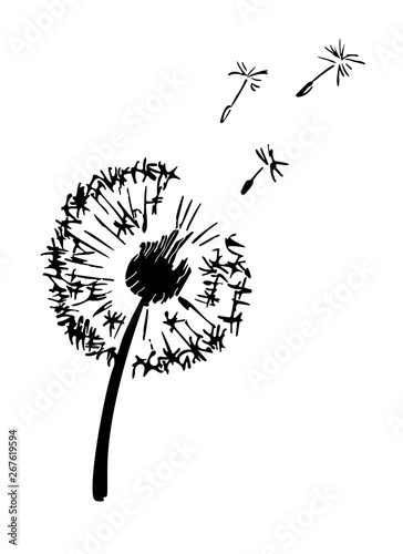 Dandelion plant silhouette. Contour suitable for cutting vinyl sticker. Vector ink illustration
