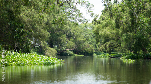 lake in the forest