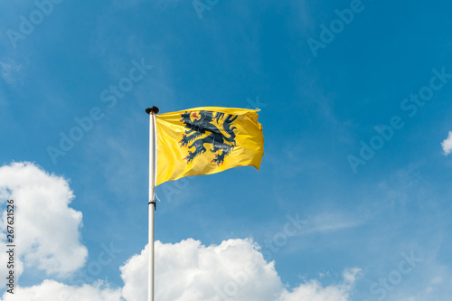 Flag of Flanders - Vlaamse Leeuw photo